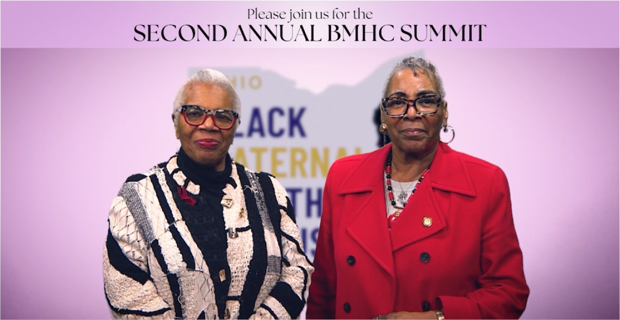 State Senators Hicks-Hudson and Ingram - 2nd Annual Black Maternal Health Caucus Summit