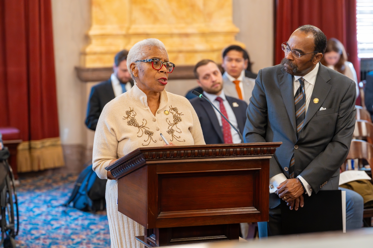 Hicks-Hudson, Craig Testify on Bill to Enact the Suicide Self-Defense Act