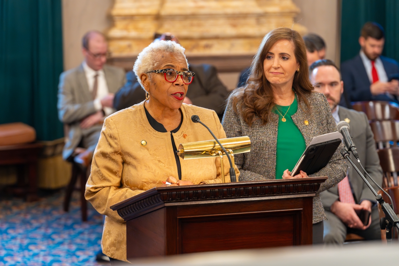 Hicks-Hudson, Gavarone Testify on Bill to Improve State's Family Court System