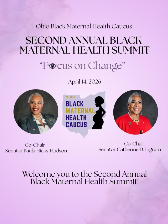 2nd Annual Black Maternal Health Summit